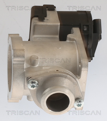 TRISCAN AGR-Ventil 881311020 für BMW