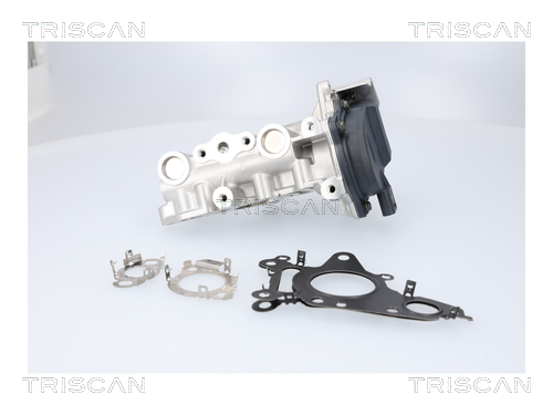 TRISCAN AGR-Ventil 881323041 für Mercedes