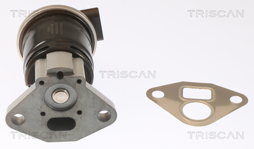 TRISCAN AGR-Ventil 881340003 für HONDA