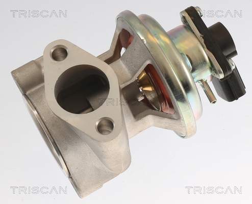 TRISCAN AGR-Ventil 881342003 für MITSUBISHI