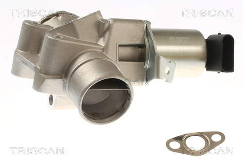 TRISCAN AGR-Ventil 881323044 für SMART