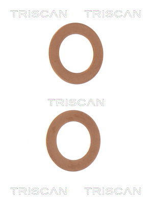 TRISCAN Bremsschlauch 8150142128 für RENAULT