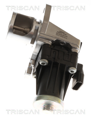 TRISCAN AGR-Ventil 881310060 für NISSAN Mercedes DACIA