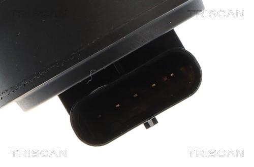 TRISCAN AGR-Ventil 881327106 für Volvo