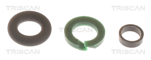 TRISCAN Dichtungssatz, Einspritzdüse 5961007 für VAG Porsche Audi