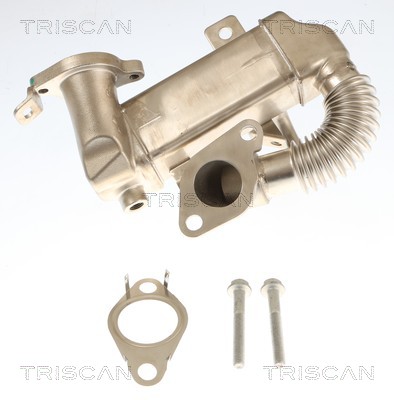 TRISCAN Kühler, Abgasrückführung 881310120 für Peugeot NISSAN RENAULT