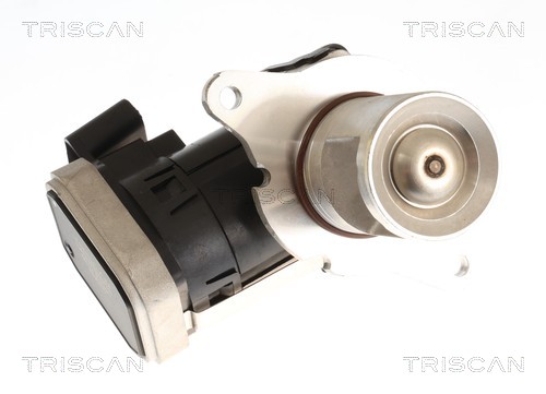 TRISCAN AGR-Ventil 881323045 für Mercedes