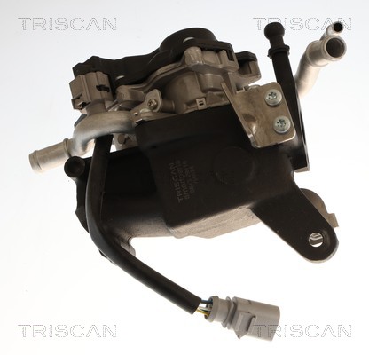 TRISCAN AGR-Ventil 881329118 für VW