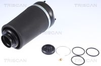 TRISCAN Luftfeder, Fahrwerk, Art.-Nr. 8720 23101