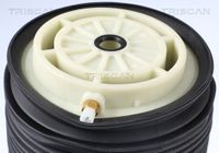 TRISCAN Luftfeder, Fahrwerk, Art.-Nr. 8720 23201