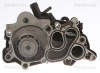 TRISCAN Wasserpumpe, Motorkhlung, Art.-Nr. 8600 29087