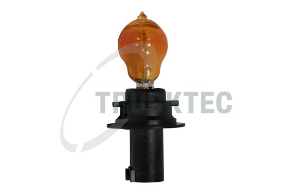 TRUCKTEC AUTOMOTIVE Glühlampe, Blink-/Begrenzungsleuchte 0258447 Sockelglühlampe Außenspiegel für Mercedes VW