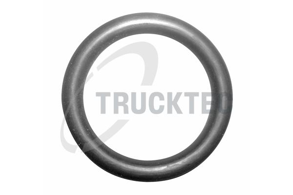TRUCKTEC AUTOMOTIVE Dichtung, Kühlmittelflansch 0810041 für BMW