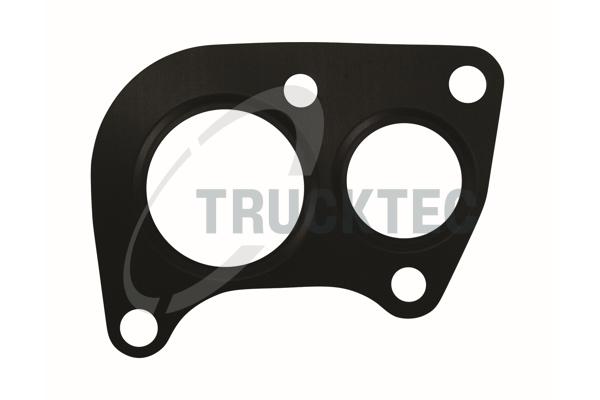 TRUCKTEC AUTOMOTIVE Dichtung, AGR-Ventil 0216084 für Mercedes