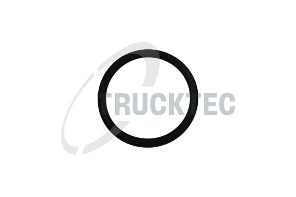 TRUCKTEC AUTOMOTIVE Dichtring 0810093 für BMW