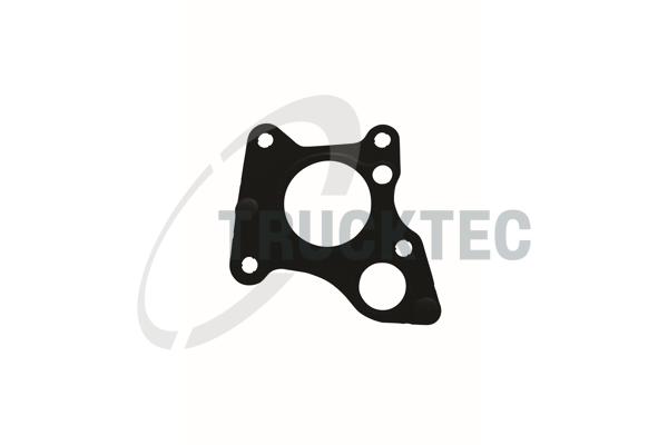 TRUCKTEC AUTOMOTIVE Dichtung, AGR-Ventil 0216095 für Mercedes