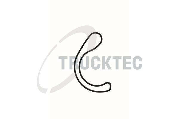 TRUCKTEC AUTOMOTIVE Dichtung, AGR-Ventil 0216094 für Mercedes