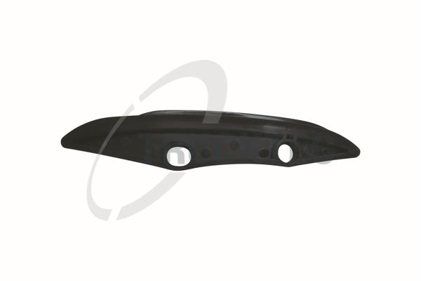 TRUCKTEC AUTOMOTIVE Gleitschiene, Steuerkette 0812081 für BMW