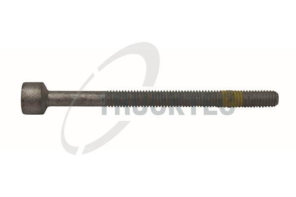TRUCKTEC AUTOMOTIVE Schraube, Einspritzdüsenhalter 0213101 für Chrysler SMART Mercedes