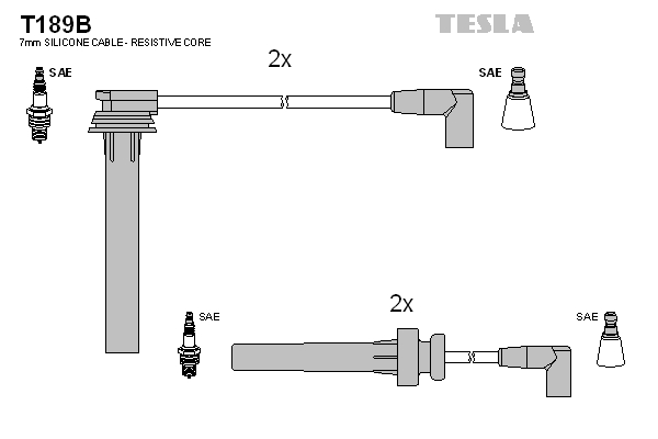 Tesla Zündleitungssatz t189b
