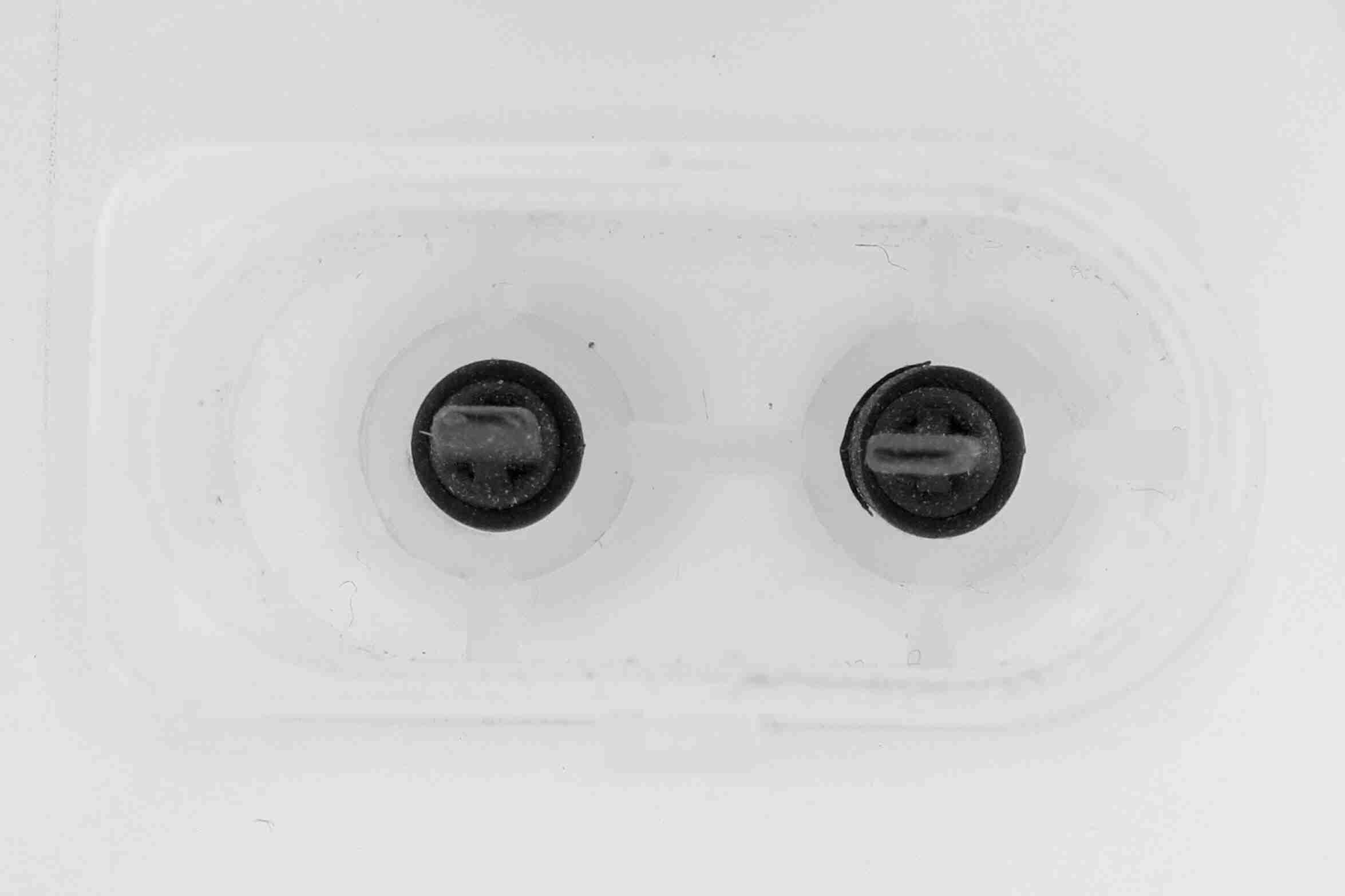VAICO Ausgleichsbehälter, Kühlmittel v203410 für BMW