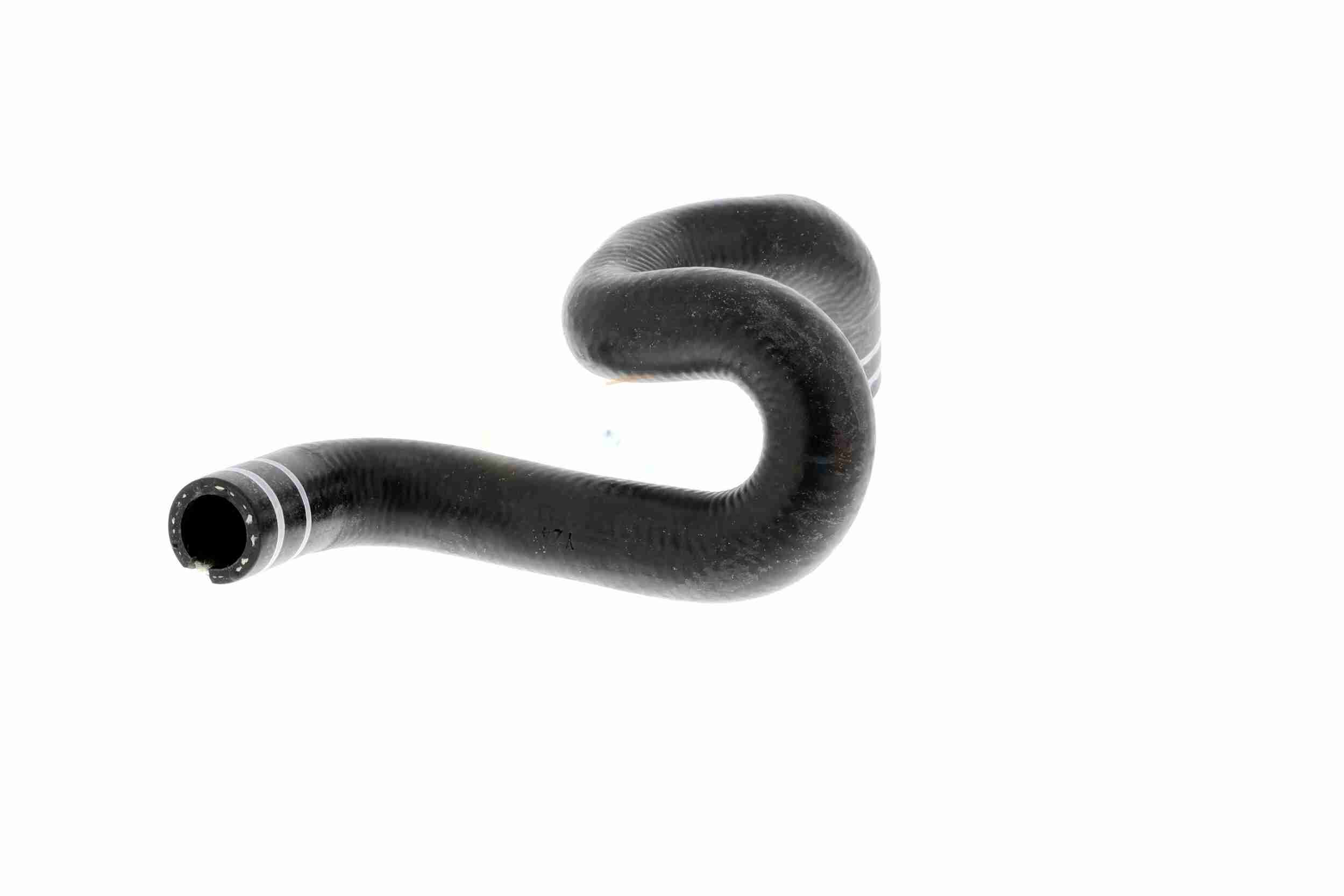VAICO Kühlerschlauch v240806 für Fiat