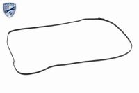 VAICO lwanne, Automatikgetriebe "EXPERT KITS +", Art.-Nr. V20-0588