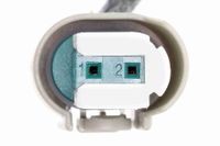 VAICO Waschwasserleitung "Original VAICO Qualit�t", Art.-Nr. V20-2933