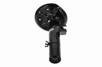 VAICO Sto�d�mpfer, Art.-Nr. V20-2200