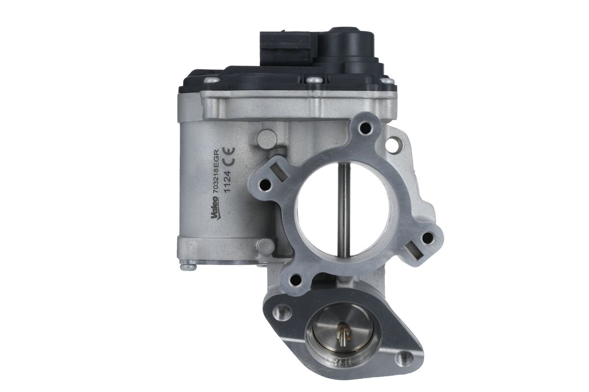 VALEO AGR-Ventil 703218 für Opel Vaughall RENAULT NISSAN