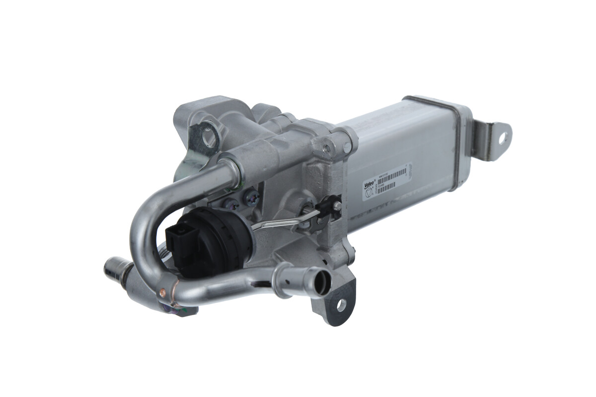 VALEO AGR-Modul 700486 für Vaughall RENAULT