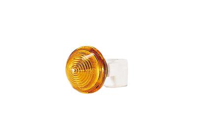 VAN WEZEL Blinkleuchte 1601913 seitlich für Fiat
