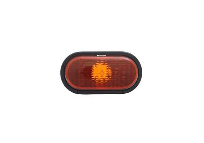VAN WEZEL Blinkleuchte 4310914 seitlich für RENAULT