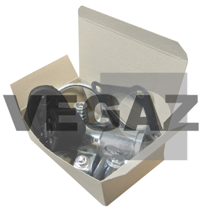 VEGAZ Montagesatz, Katalysator pga805