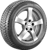 VIKING Winterreifen "255/50 R19 107V XL EVc - WinTech", Art.-Nr. 15632640000