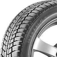 VIKING Winterreifen "255/50 R19 107V XL EVc - WinTech", Art.-Nr. 15632640000