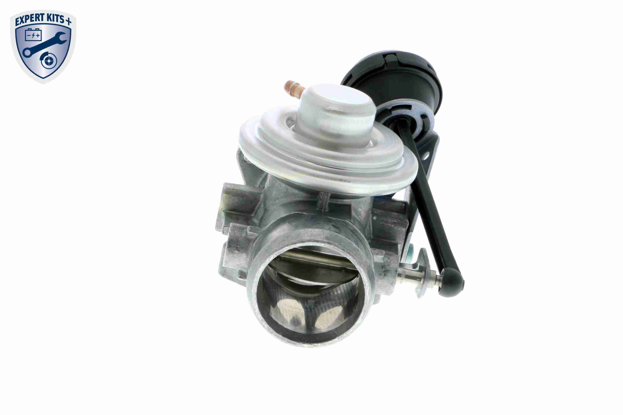 VEMO Ventil, AGR-Abgassteuerung AGR-Ventil Q+, Erstausrüsterqualität MADE IN GERMANY v10630030 für SEAT VW