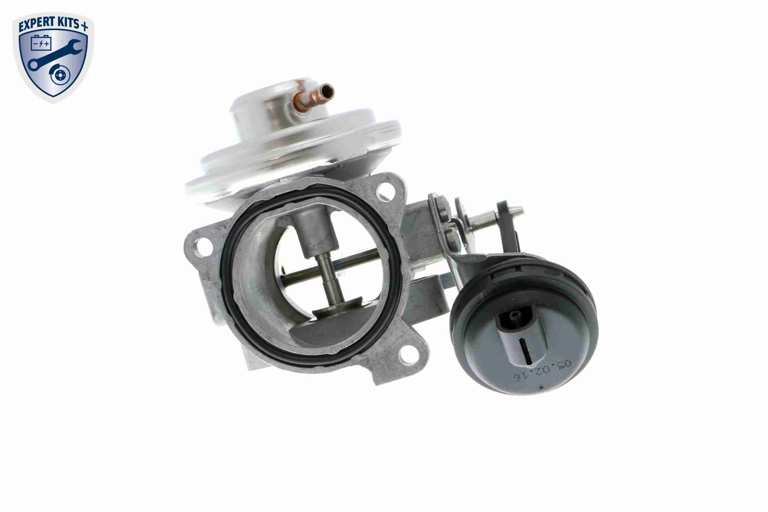 VEMO Ventil, AGR-Abgassteuerung AGR-Ventil EXPERT KITS + v10630018 für VAG VW