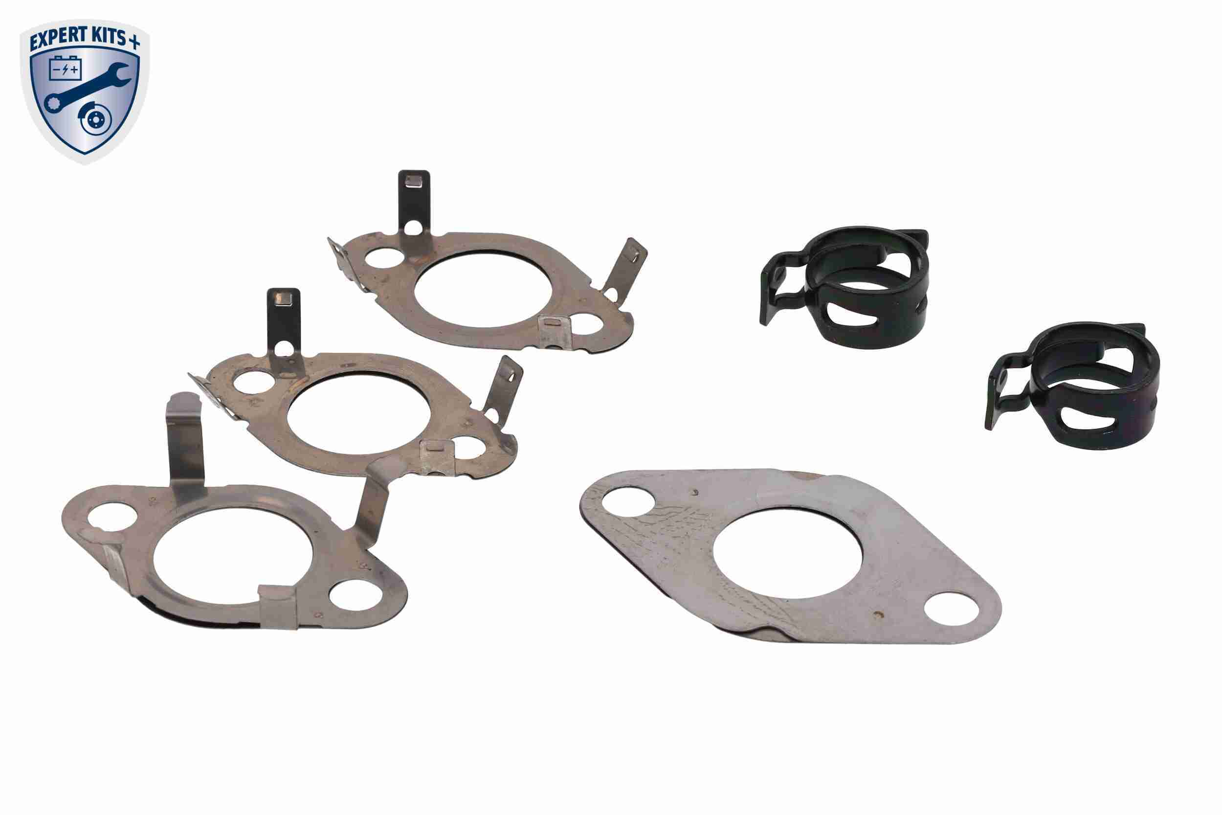 VEMO Dichtungssatz, AGR-System EXPERT KITS + v10639048 für VAG VW