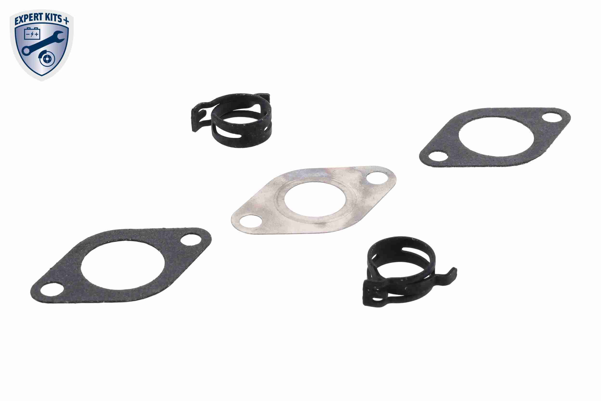 VEMO Dichtungssatz, AGR-System EXPERT KITS + v10639127 für Audi