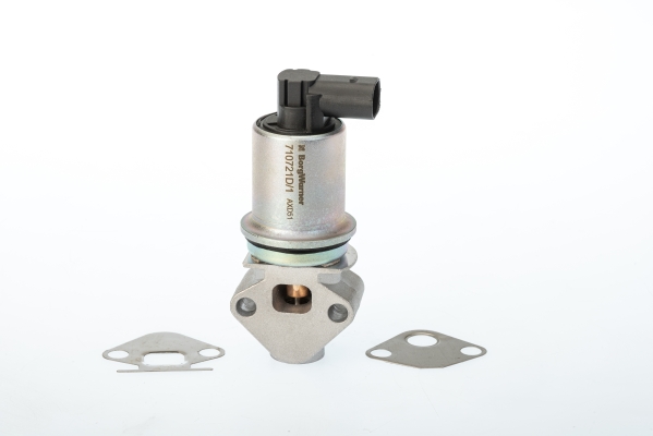 BORGWARNER AGR-Ventil 710721d1 für SEAT Skoda