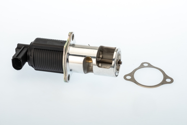 BORGWARNER AGR-Ventil 710950d für Vaughall GM NISSAN DACIA RENAULT Suzuki