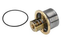 borgwarner Thermostat, K�hlmittel, Art.-Nr. 4621.80D