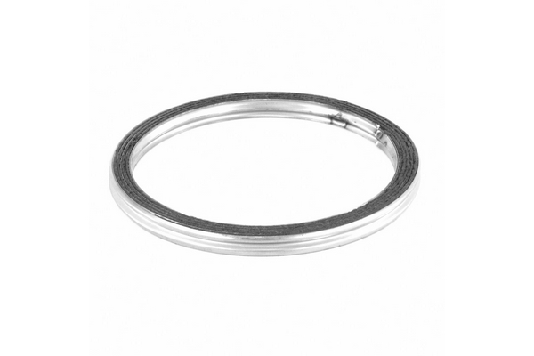 WALKER Dichtung, Abgasrohr 81169 vorne für LEXUS TOYOTA