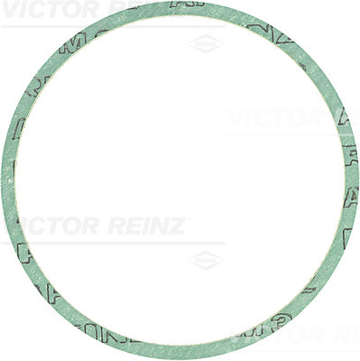 VICTOR REINZ Dichtring 400094200