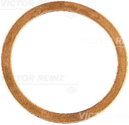 VICTOR REINZ Dichtring 407028700