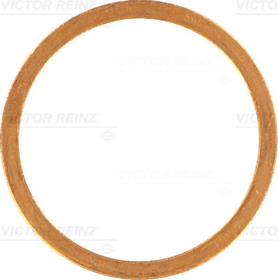 VICTOR REINZ Dichtring 407029300