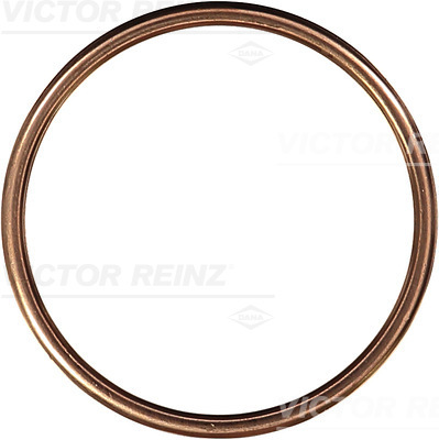 VICTOR REINZ Dichtring 407210130