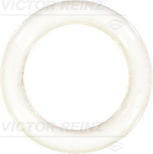VICTOR REINZ Dichtring 407603810
