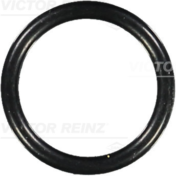 VICTOR REINZ Dichtring 407605800